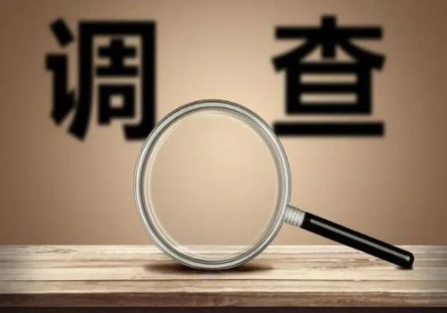 深圳侦探事务所：打官司当庭可以提供证据吗