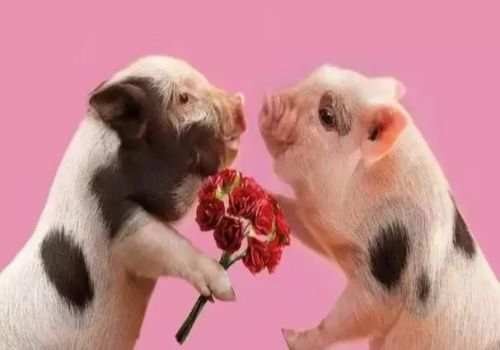 民事诉讼医疗损害罪举证责任在谁？